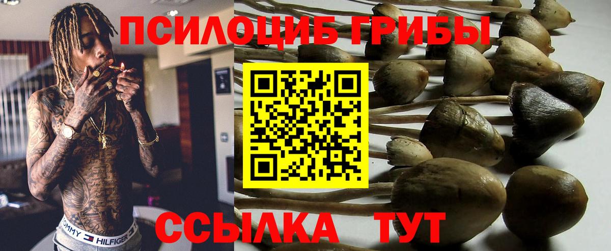 Галлюциногенные грибы мицелий Карталы